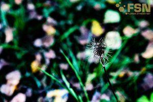 Vorschau von DSC00604.jpg