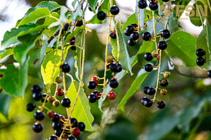 Vorschau von DSC00625.jpg