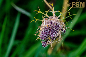 Vorschau von DSC00629.jpg