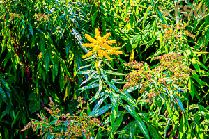 Vorschau von DSC00647.jpg