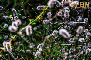 Vorschau von DSC00660.jpg