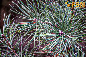 Vorschau von DSC00663.jpg