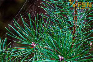 Vorschau von DSC00664.jpg