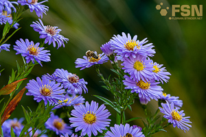 Vorschau von DSC00687-3.jpg