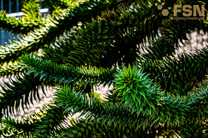 Vorschau von DSC00695.jpg