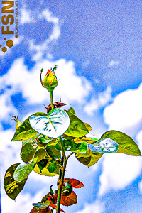 Vorschau von DSC00708.jpg