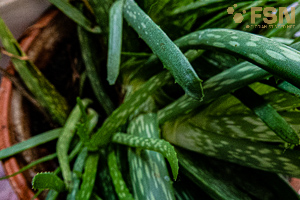 Vorschau von DSC00726.jpg