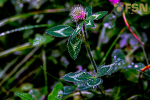 Vorschau von DSC00773.jpg