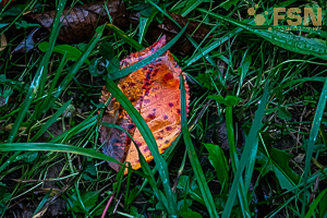 Vorschau von DSC00778.jpg