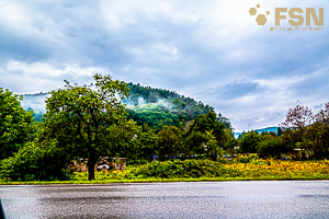 Vorschau von DSC00795.jpg