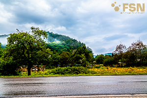 Vorschau von DSC00799.jpg