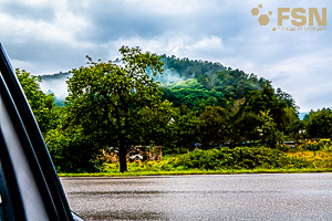 Vorschau von DSC00800.jpg