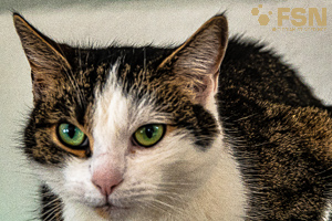 Vorschau von DSC00438.jpg