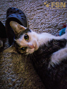 Vorschau von rps20180205_201724.jpg