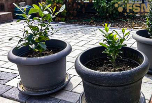 Vorschau von IMG_20210912_134429~2.jpg