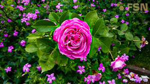 Vorschau von IMG_20190616_152200.jpg