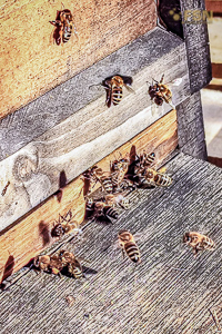 Vorschau von IMG_20220223_173539_795-Verbessert.jpg