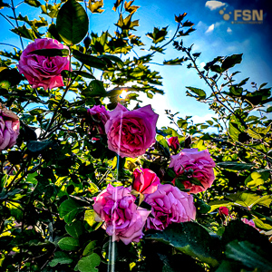 Vorschau von IMG_20220602_082141_364.jpg