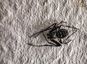 Vorschau von IMG_20220606_102528~2.jpg