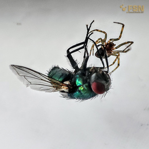 Vorschau von IMG_20220616_082453~2.jpg