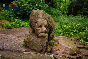 Vorschau von IMG_0847wtmk.jpg