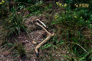 Vorschau von IMG_8204.jpg