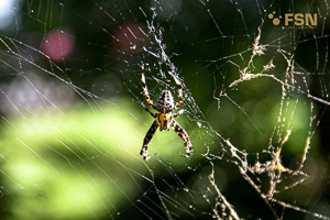 Vorschau von PICT9728.jpg