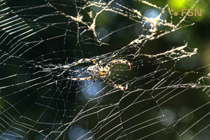 Vorschau von PICT9729.jpg