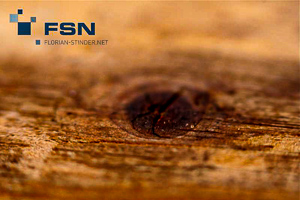 Vorschau von IMG_0561wtmk.jpg