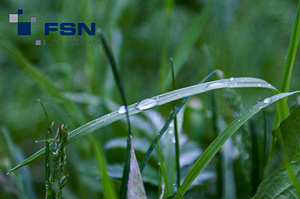 Vorschau von PICT1324wtmk.jpg