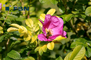 Vorschau von PICT1562wtmk.jpg