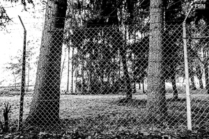 Vorschau von _DSC1894.jpg