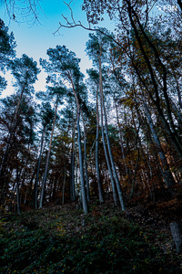 Vorschau von _DSC1897.jpg