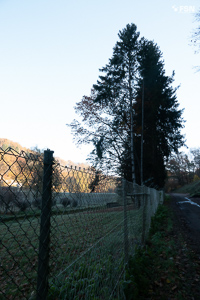 Vorschau von _DSC1901.jpg