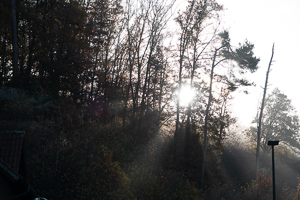 Vorschau von _DSC1906.jpg